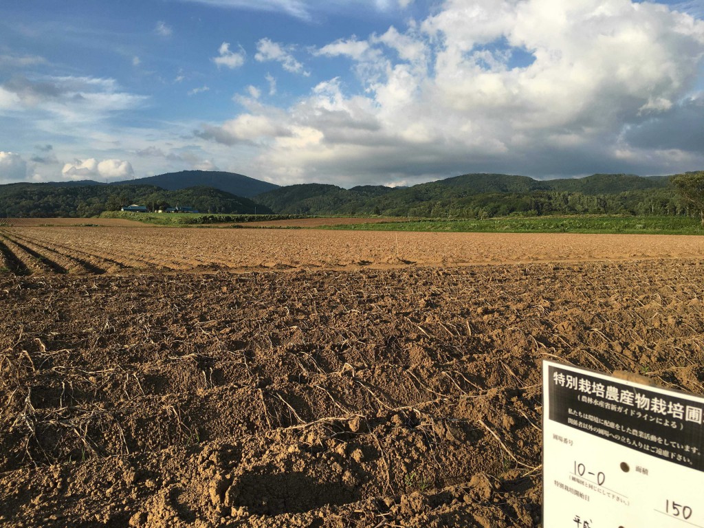 特別栽培圃場表記看板